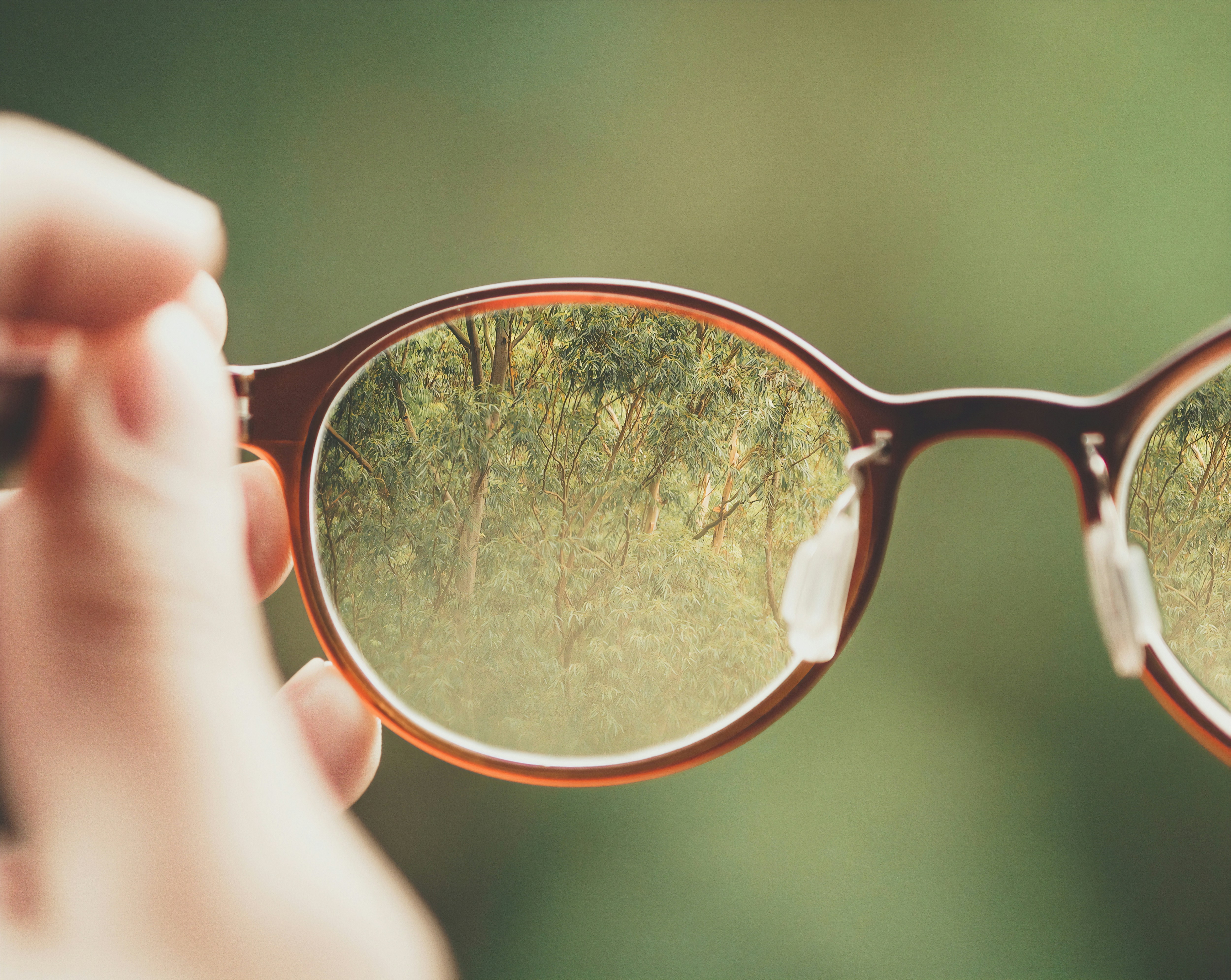 Eyeglasses reflecting green trees