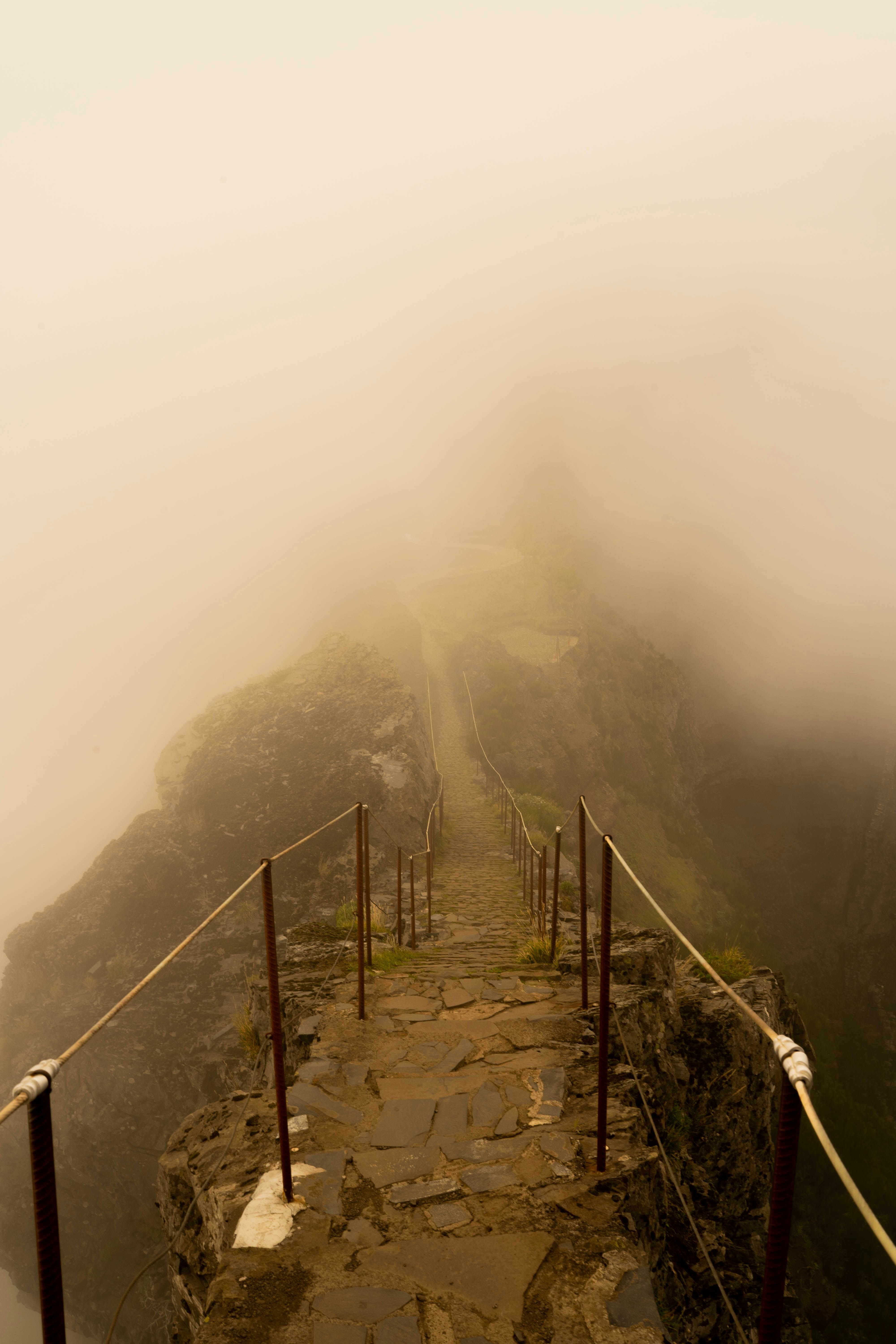 Grayscale photo of bridge on mountain