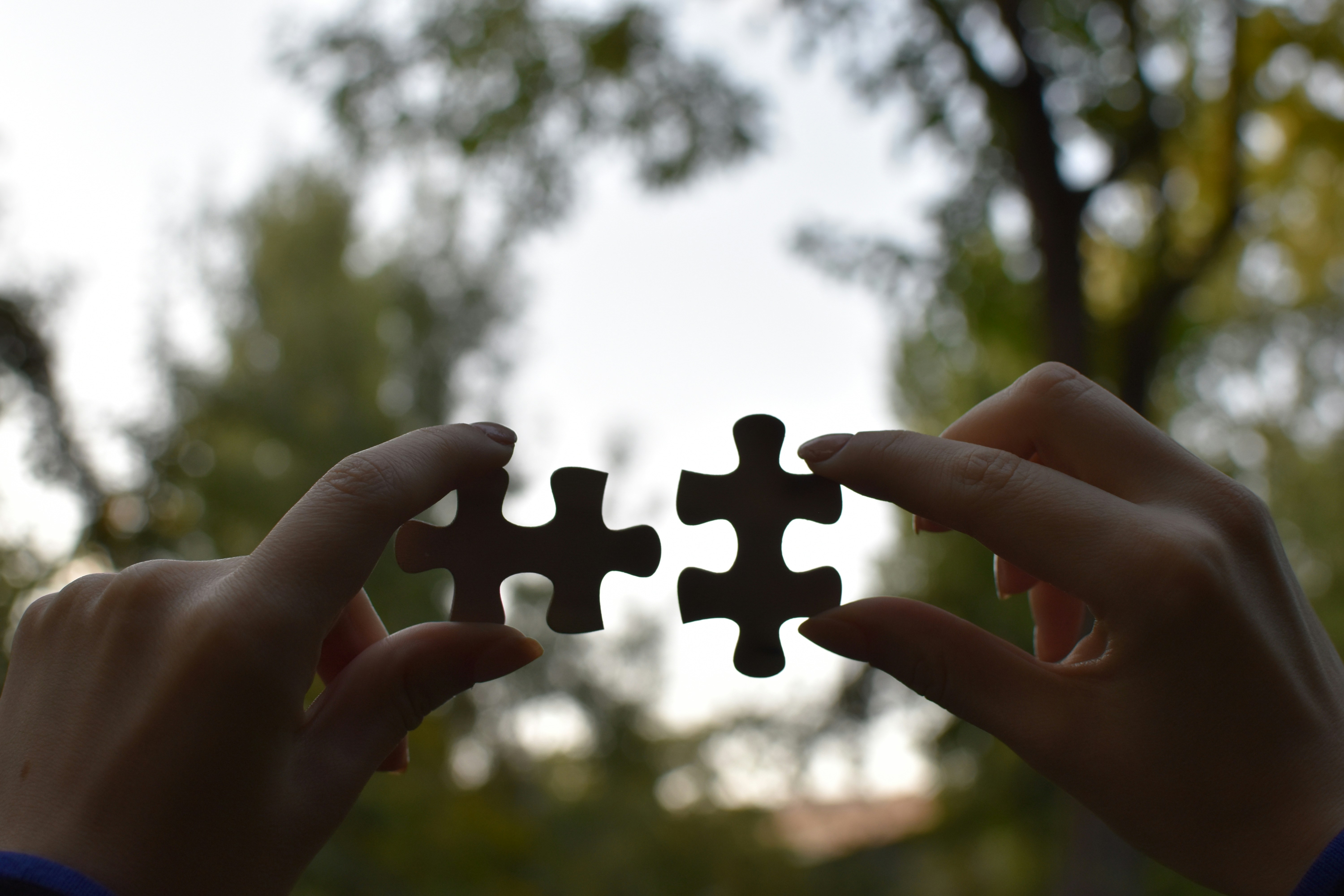 Person holding two pieces of a puzzle